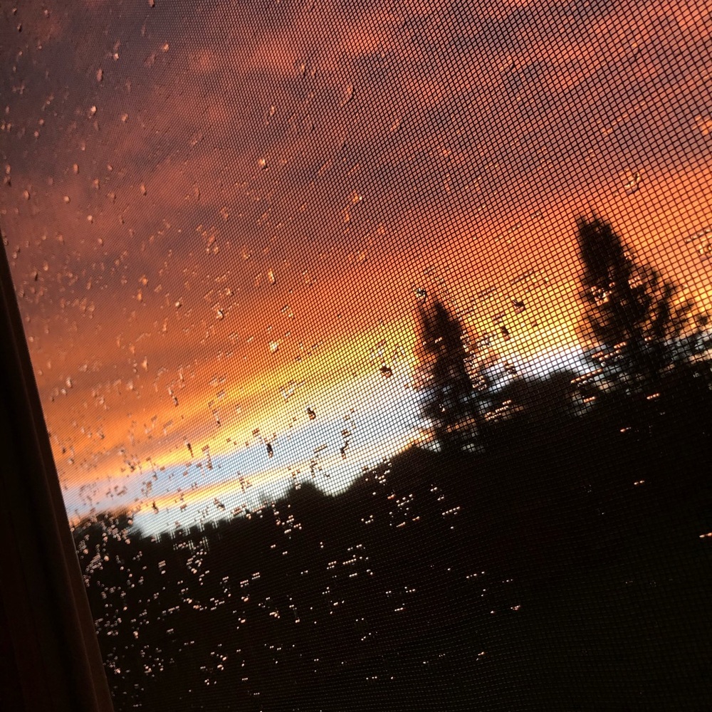 Meet your Posher, Chloe